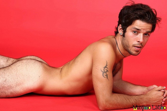 Diego C - MaxeGatos - Foto 45