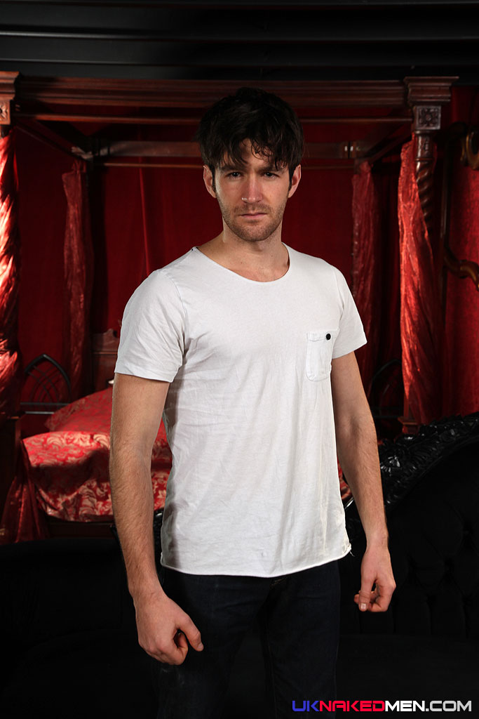 Woody Fox - MaxeGatos - Foto 1