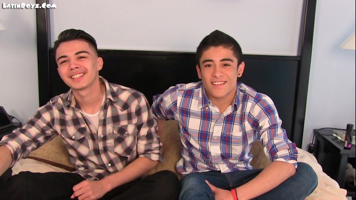Diego and Dezi - MaxeGatos - Foto 4