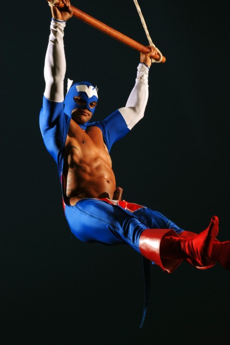 Super Heróis - MaxeGatos - Foto 8