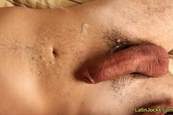 Allisson - MaxeGatos - Foto 46