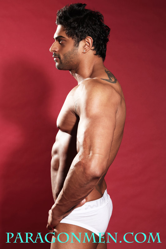 Andreas - MaxeGatos - Foto 4