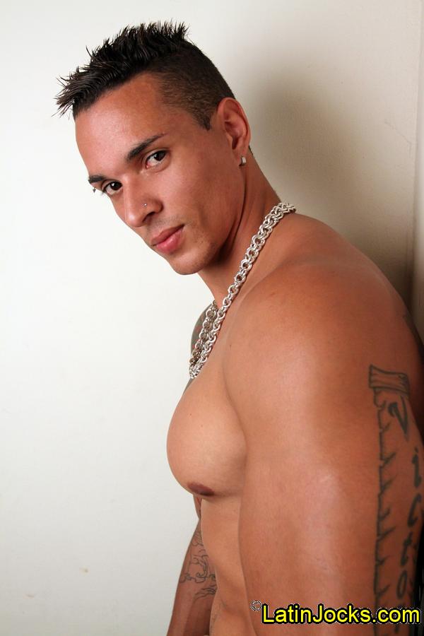 Gustavo - MaxeGatos - Foto 13