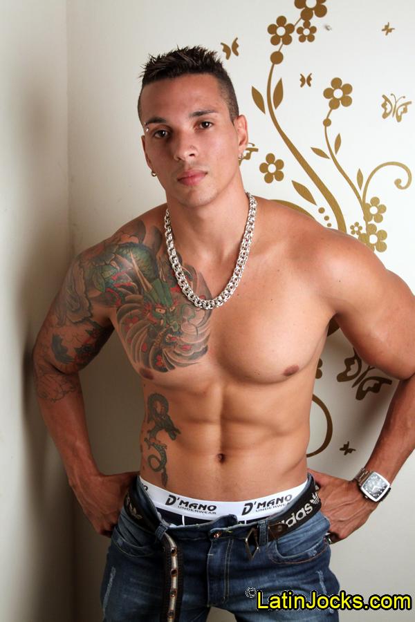 Gustavo - MaxeGatos - Foto 16