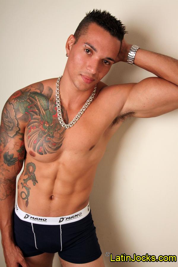 Gustavo - MaxeGatos - Foto 22