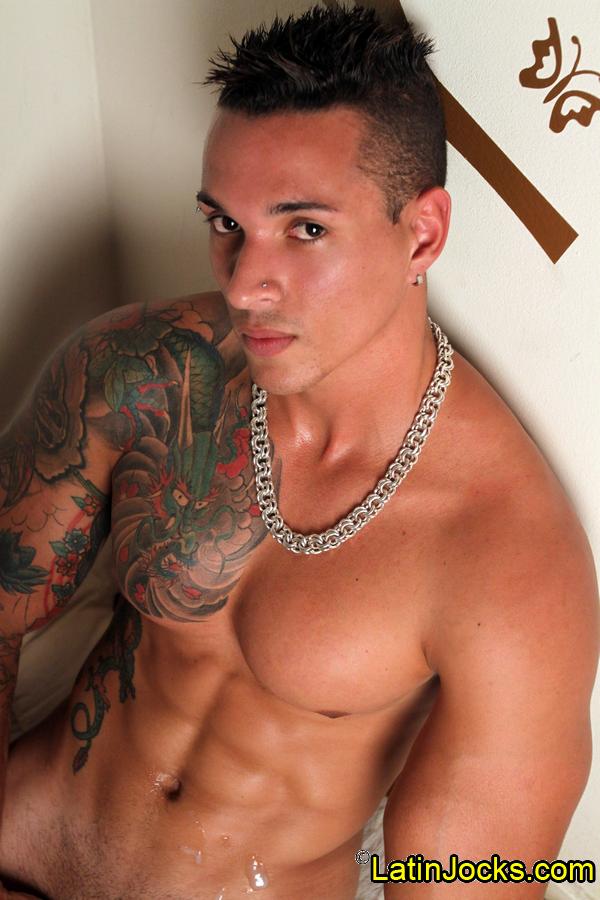 Gustavo - MaxeGatos - Foto 44