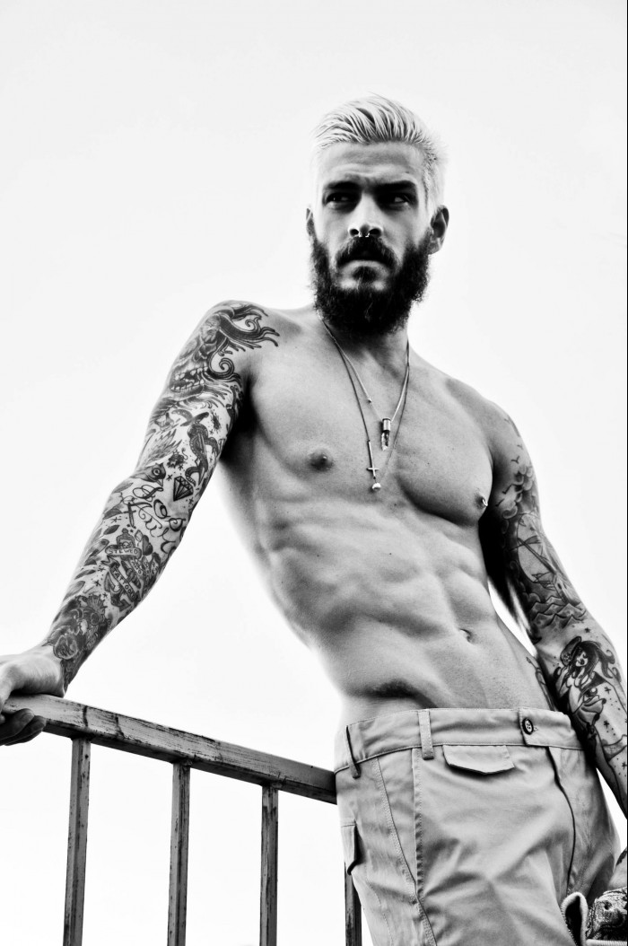 Mateus Verdelho - MaxeGatos - Foto 27