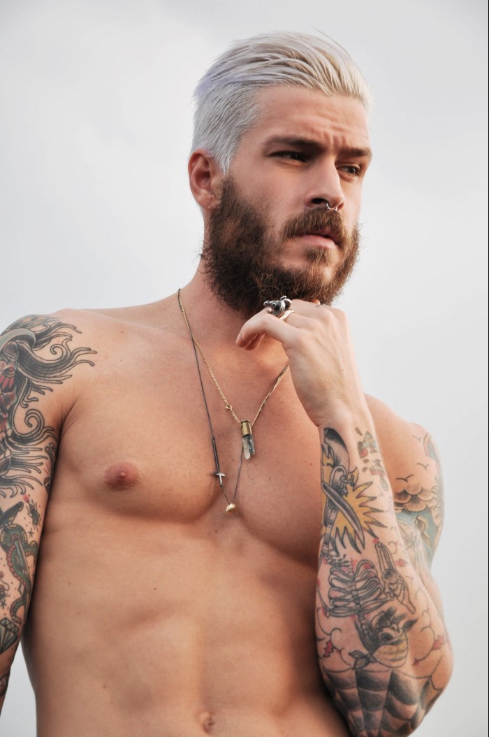 Mateus Verdelho - MaxeGatos - Foto 30