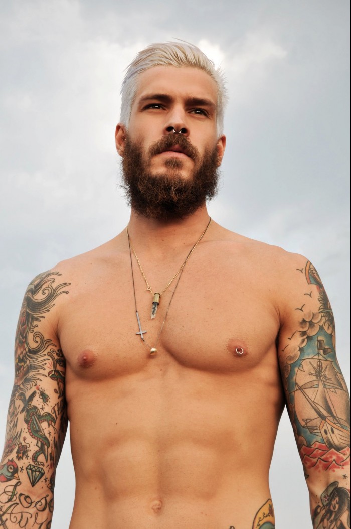 Mateus Verdelho - MaxeGatos - Foto 31