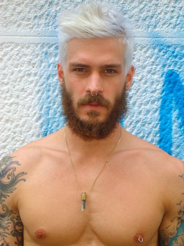 Mateus Verdelho - MaxeGatos - Foto 32