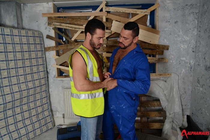 Tiko bottoms for Jessy Ares - MaxeGatos - Foto 10