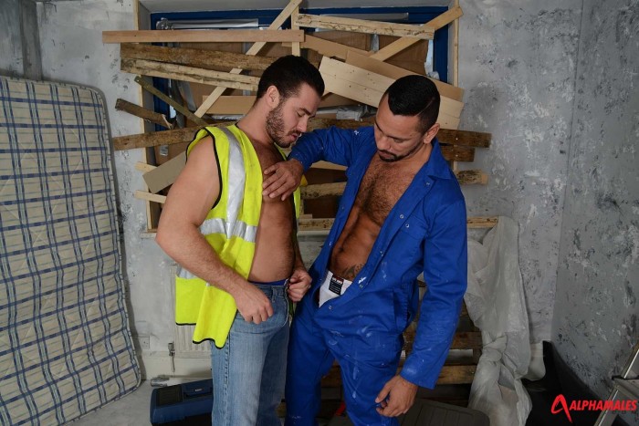 Tiko bottoms for Jessy Ares - MaxeGatos - Foto 11