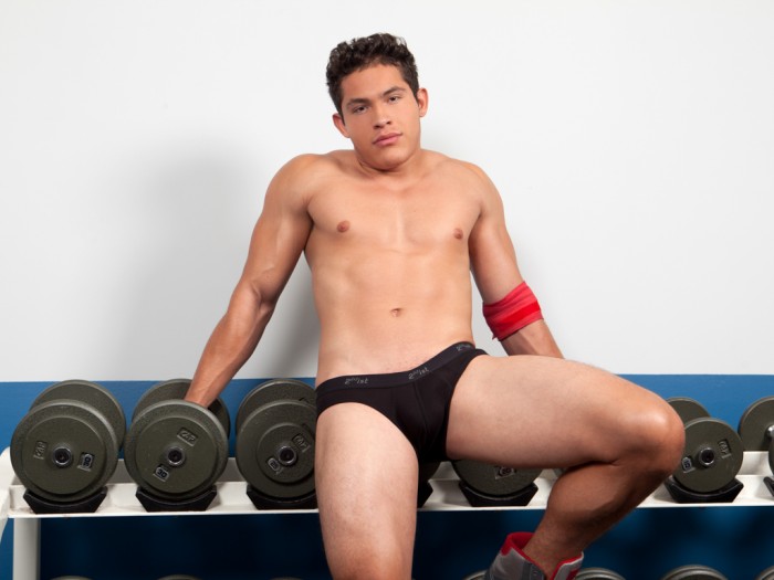 Louis Lee - MaxeGatos - Foto 19