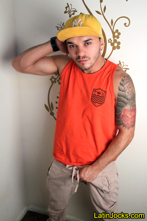 Pedro Henrique - MaxeGatos - Foto 11