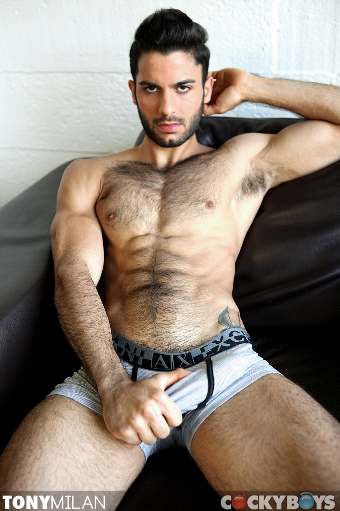 JP Dubois, Tony Milan - MaxeGatos - Foto 20