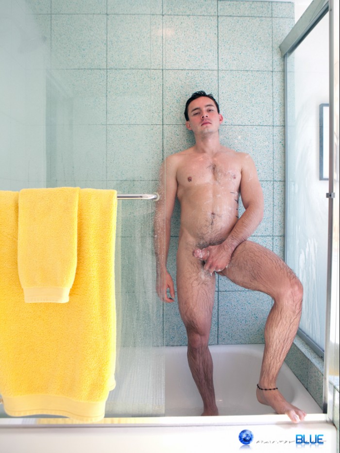 Andres Moreno - MaxeGatos - Foto 35