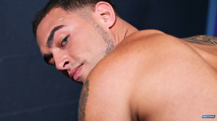Rex Raw - MaxeGatos - Foto 13
