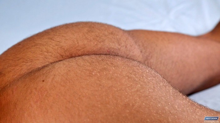 Ryan Knightly - MaxeGatos - Foto 22