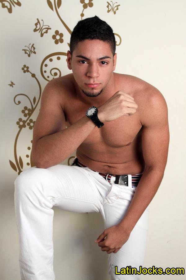 Bruno - MaxeGatos - Foto 11