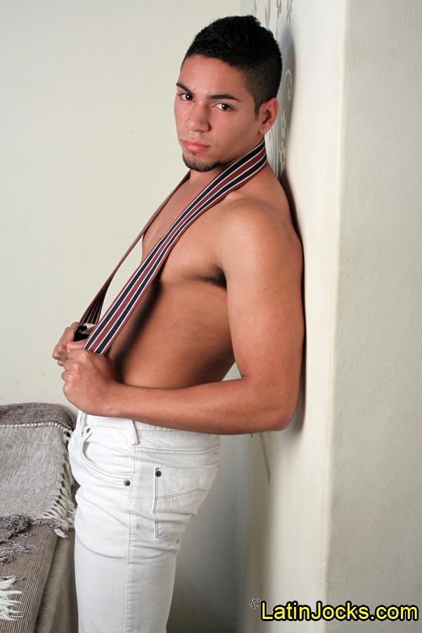 Bruno - MaxeGatos - Foto 14