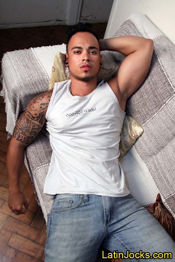 Cristiano - MaxeGatos - Foto 3