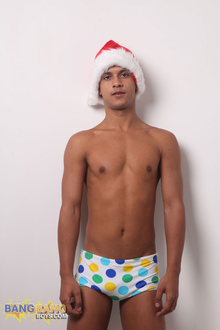 Renatos Christmas - MaxeGatos - Foto 4