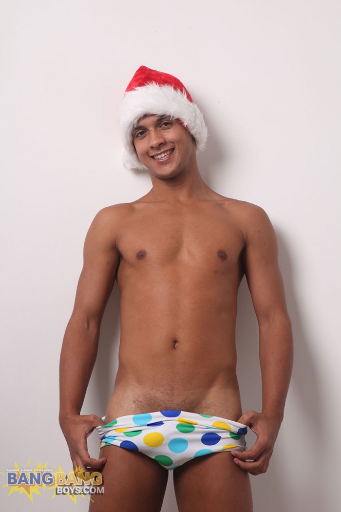 Renatos Christmas - MaxeGatos - Foto 8