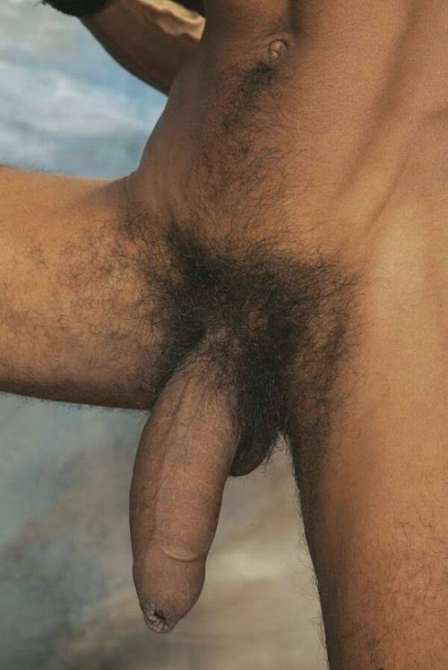 Homens maludos exibindo seus grandes pênis - Foto 17