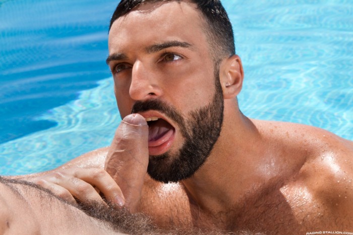  - Foto 4